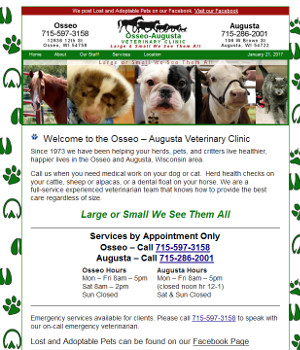front page of the osseo augusta veterinary clinic website
